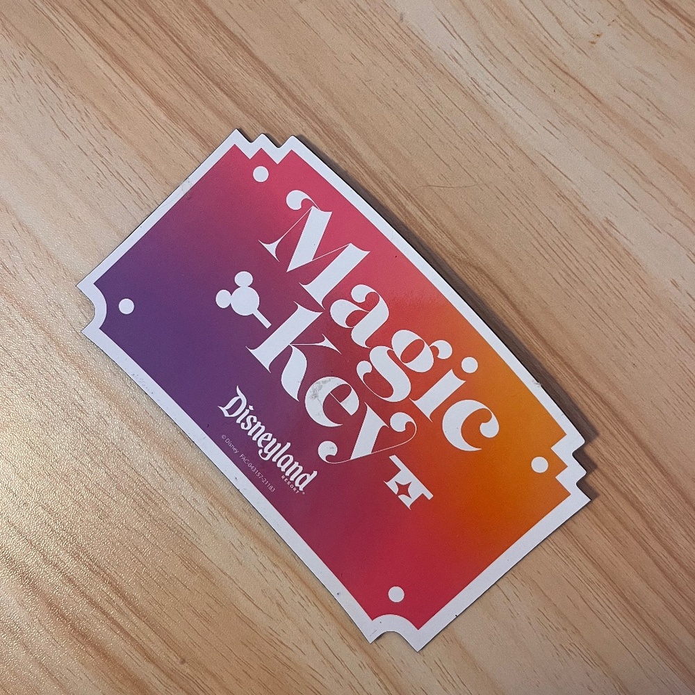 Magic Key Disney AP magnet